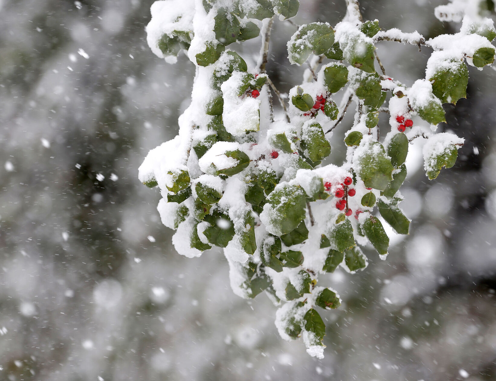 Winter Weather Virginia